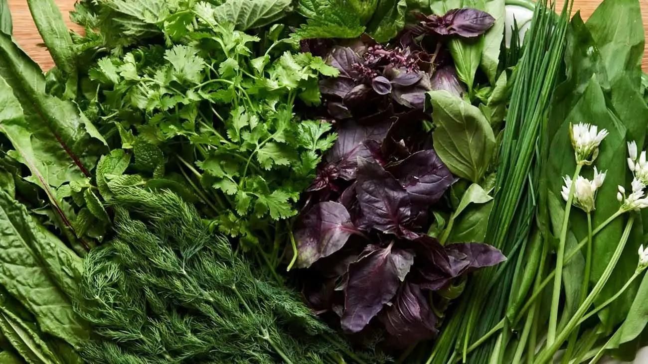 فروش سبزی|خوردنی و آشامیدنی|رشت, استقامت ۲|دیوار