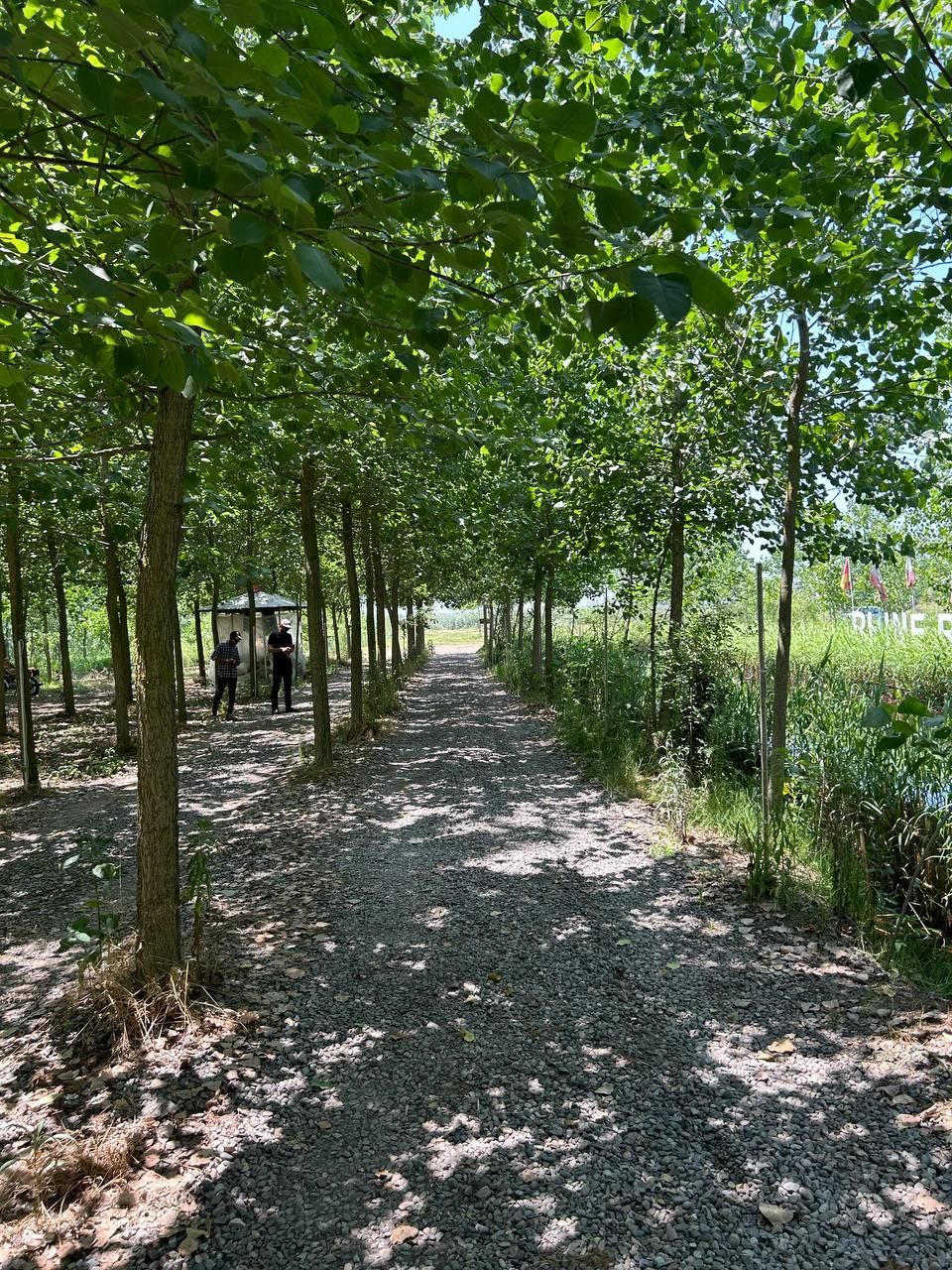 متفاوت و آسان تر ویلا خرید کنید|فروش خانه و ویلا|طالقان, |دیوار