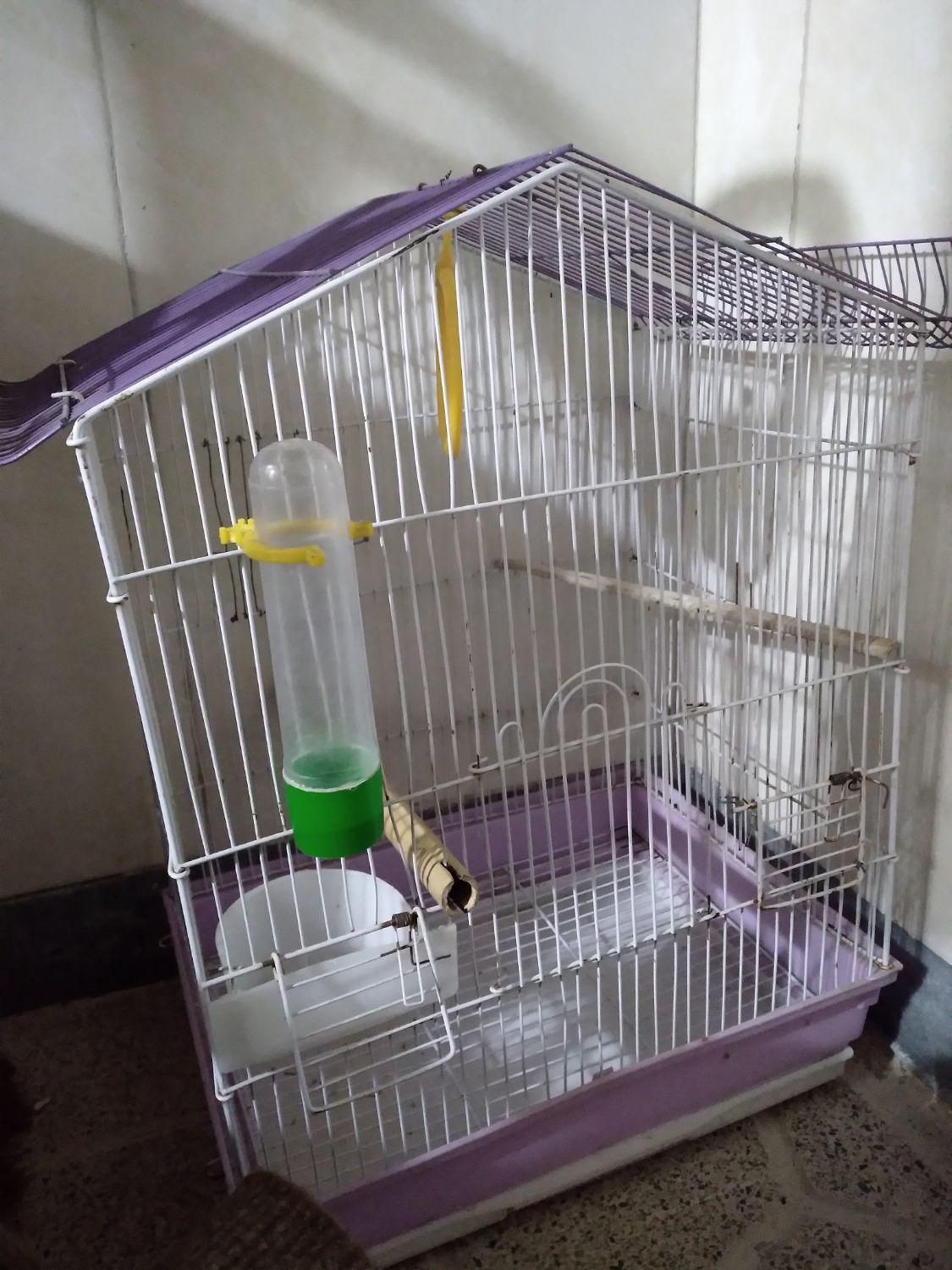 قفس پرنده سالم|لوازم جانبی حیوانات|محمدشهر, کوی بهار|دیوار