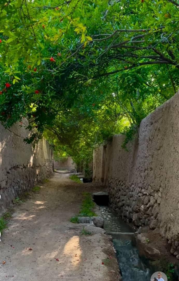 اقامتگاه کوتاه مدت غیر دولتی ایران زمین|خدمات آرایشگری و زیبایی|کرج, مشکین‌دشت|دیوار