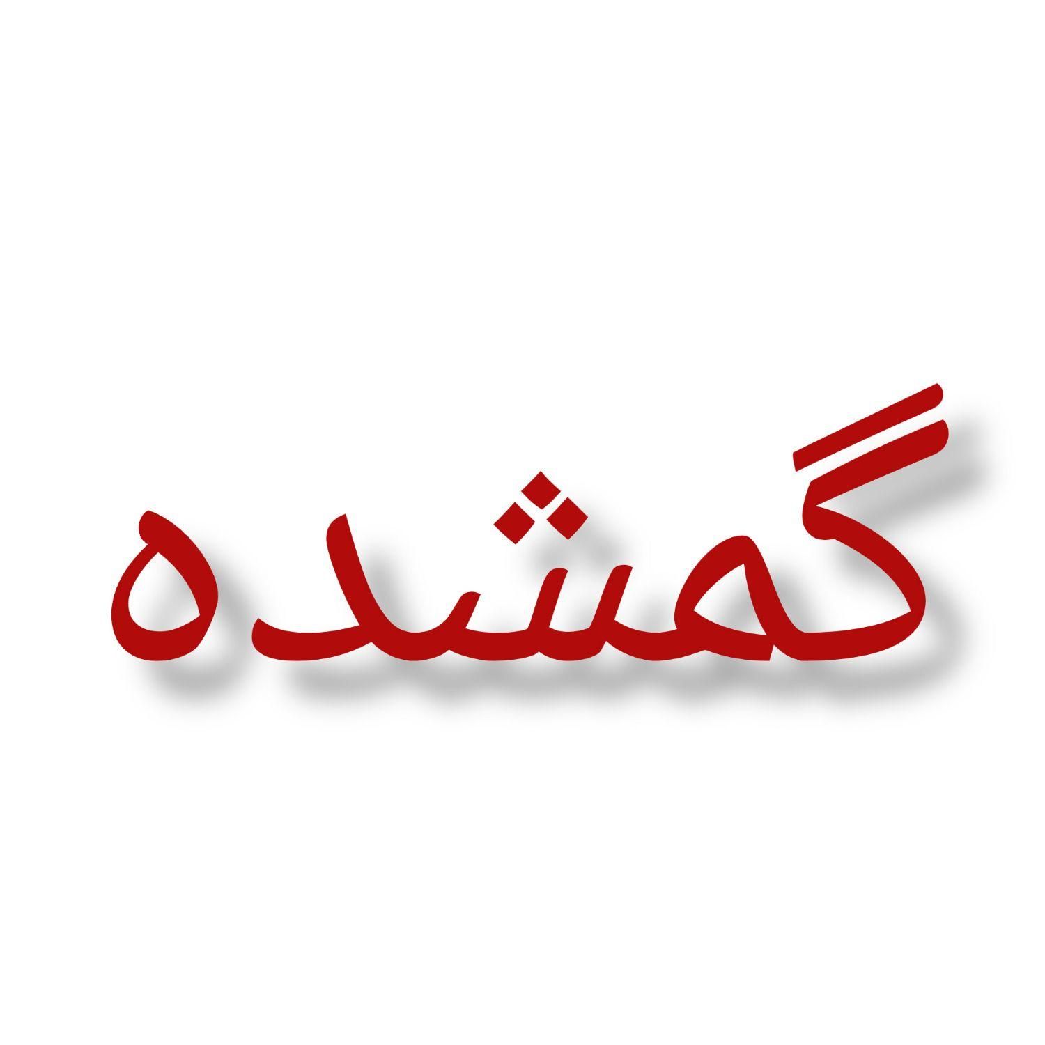 گمشده|اشیا|تهران, تهران‌نو|دیوار