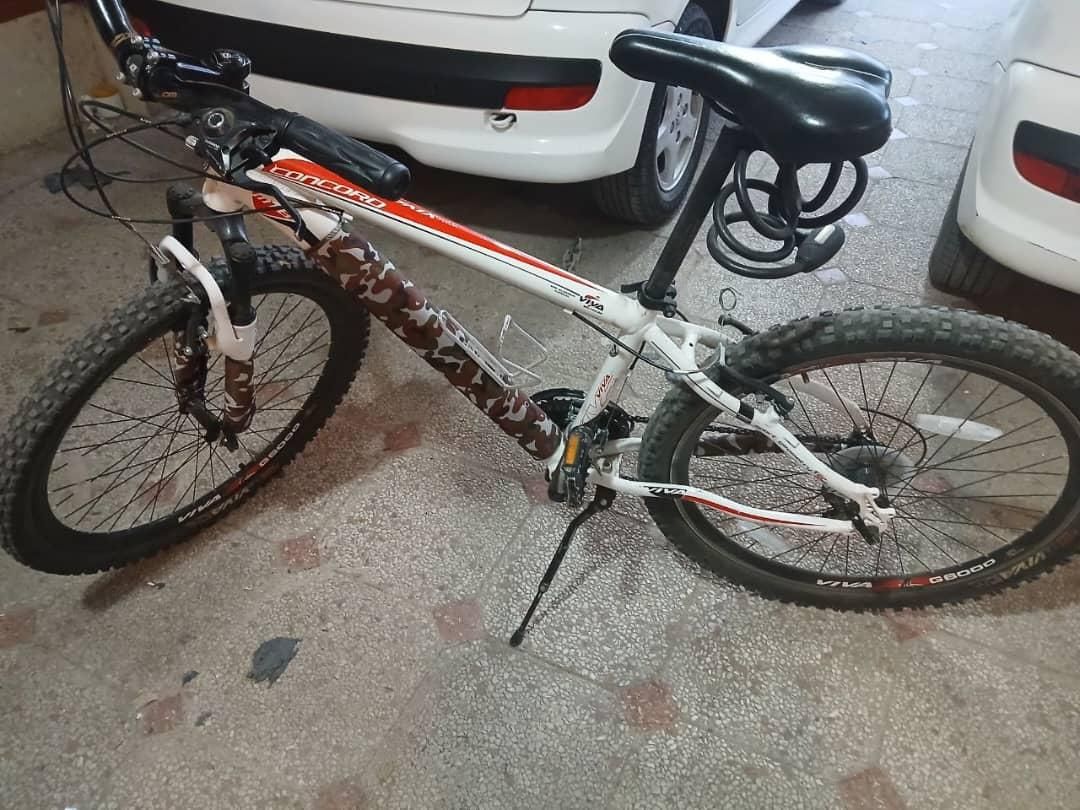 دوچرخه ویوا تایوان اصل اقساط|دوچرخه، اسکیت، اسکوتر|کرمان, |دیوار