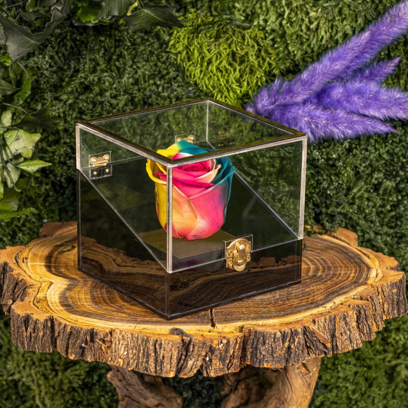 باکس و جعبه گل رز جاودان هدیه تولد و کادو|گل و گیاه طبیعی|تهران, دولاب|دیوار