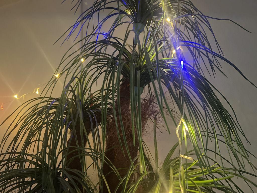 ریسه Led .  مدل Multi Function 9 متری|ریسه و چراغ تزئینی|قم, پردیسان|دیوار