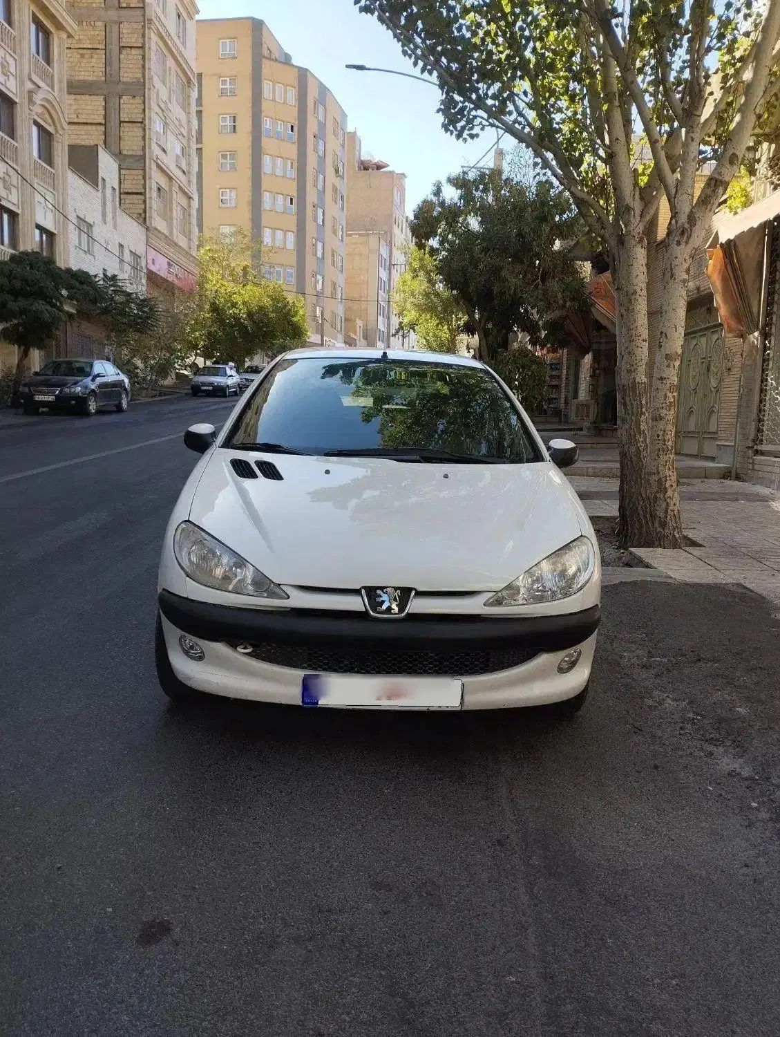 پژو۲۰۶ تیپ۲ مدل ۱۳۸۹ خانگی تمیز و بدون خرج|خودرو سواری و وانت|تبریز, |دیوار
