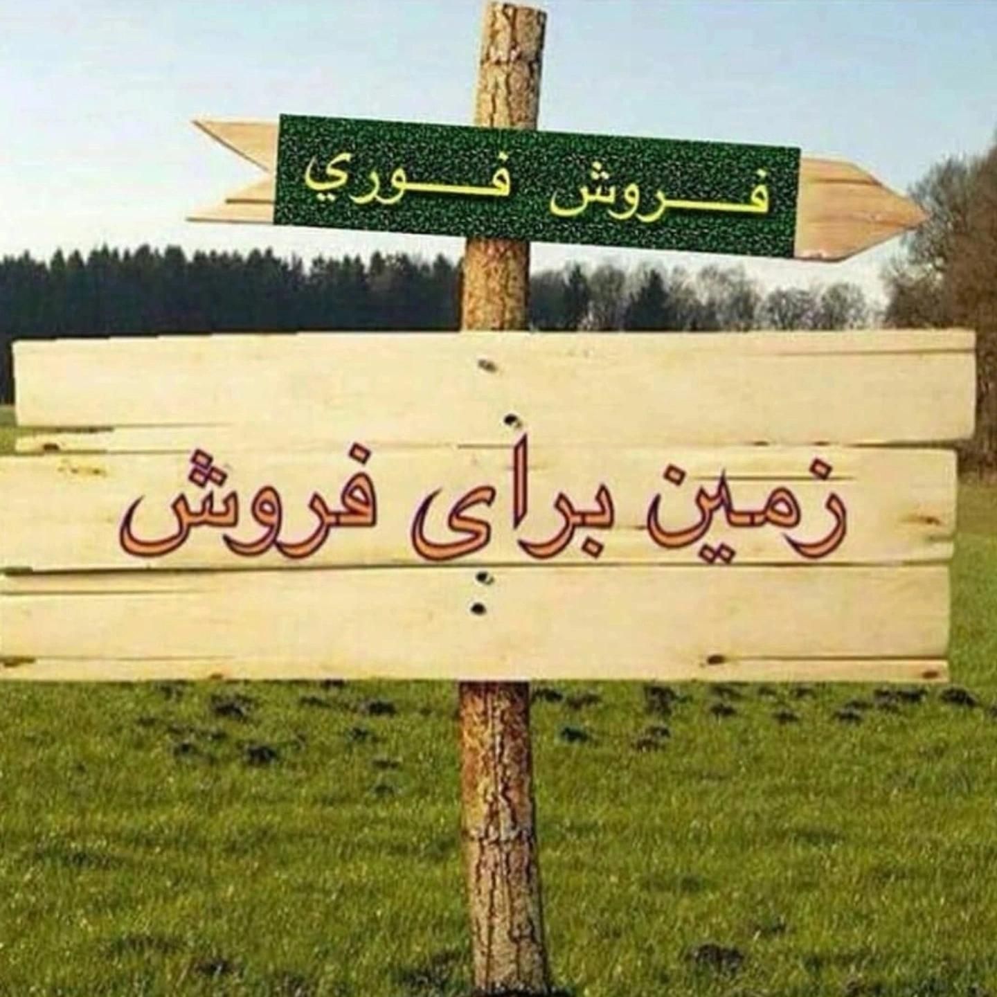 فروش زمین در پیل علی باغ|فروش زمین و ملک کلنگی|بندر انزلی, شهرک 29 فروردین نیروی دریایی|دیوار