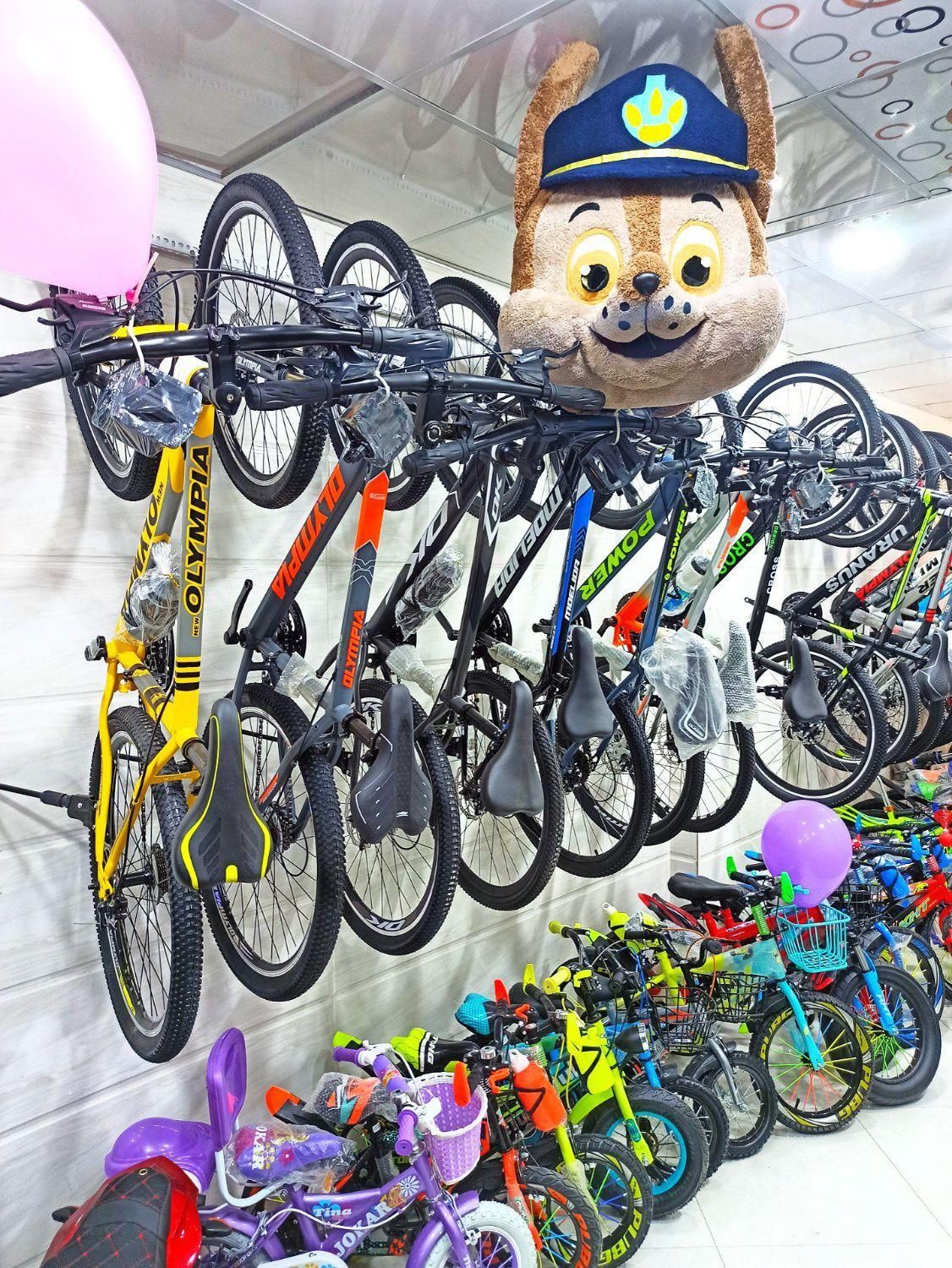 دوچرخه دخترانه و پسرانه سایز 12 16 20 24 26 29|دوچرخه، اسکیت، اسکوتر|بندرعباس, |دیوار