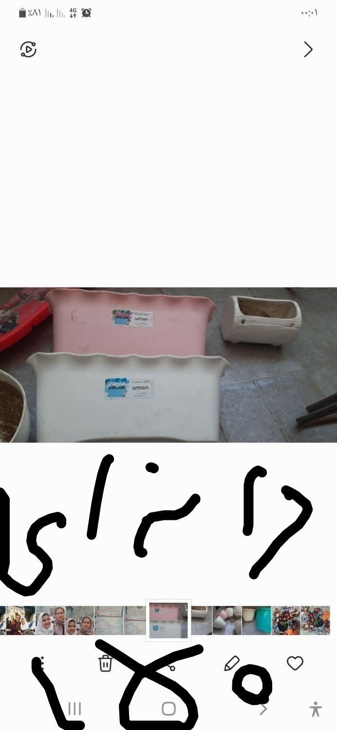 گلدان برای گل طبیعی|گل و گیاه طبیعی|تهران, نعمت‌آباد|دیوار