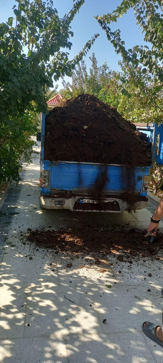 پخش کود گاوی گوسفندی خاک باغچه و..|خدمات باغبانی و درختکاری|کرج, کمالشهر|دیوار