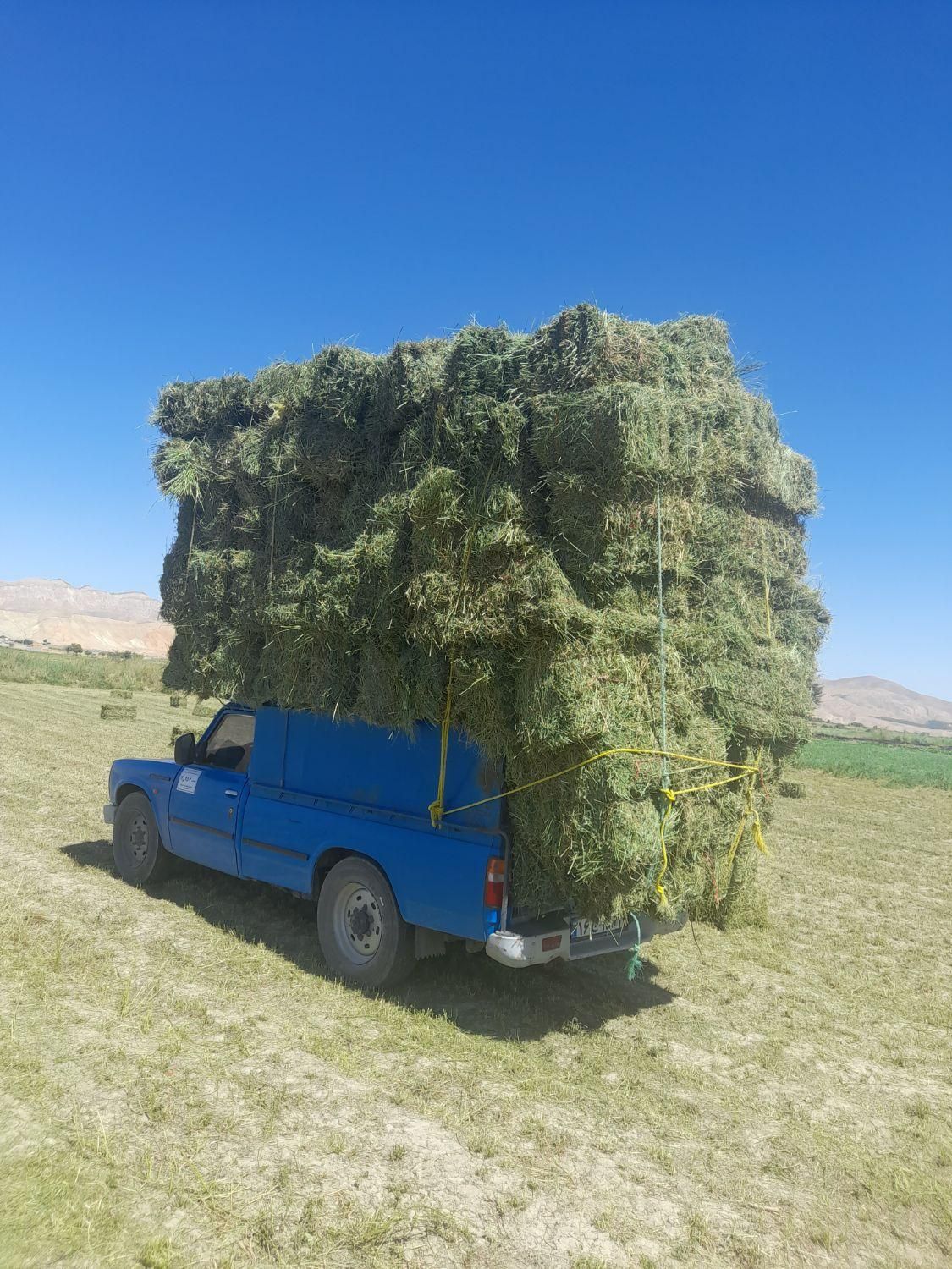 فروش بیده کاه نرمه بنجه پخل گندم پرس یونجه گندم|لوازم جانبی حیوانات|قوچان, |دیوار