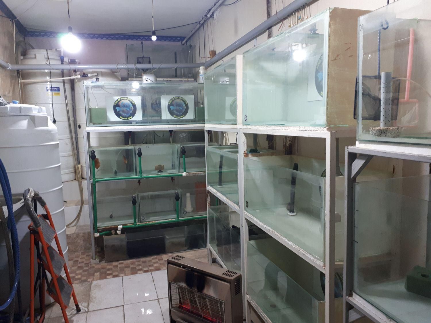 لوازم و تجهیزات سالن تکثیر و پرورش دیسکس|ماهی|اصفهان, باغ زیار|دیوار