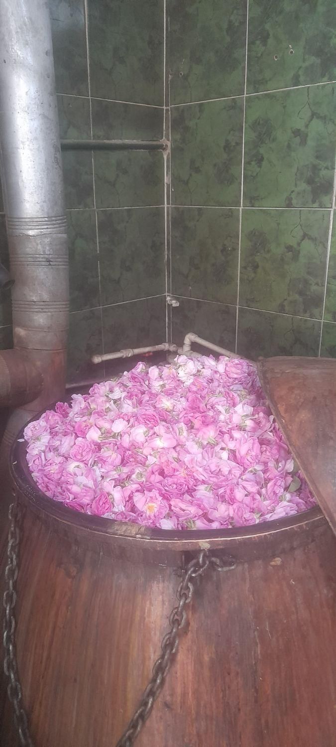 گلاب و عرقیات از تولید به مصرف اولین تولیدکننده قم|خوردنی و آشامیدنی|قم, زاد|دیوار