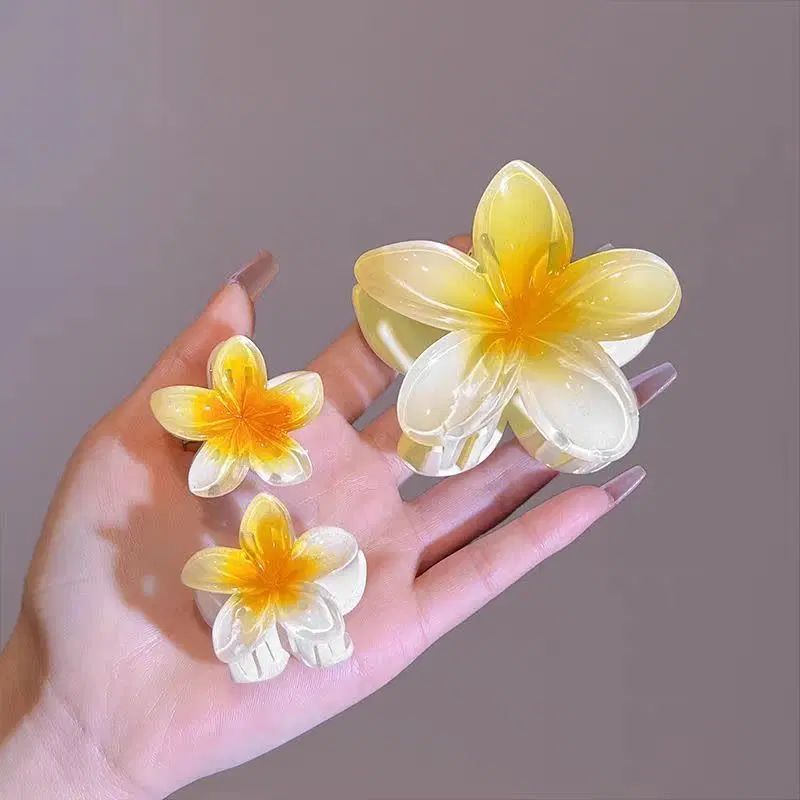 اکسسوری مو کلیپس مجلسی باندفرچفتی گوجه ای(عمده تک)|زیورآلات و اکسسوری|مشهد, فرودگاه|دیوار