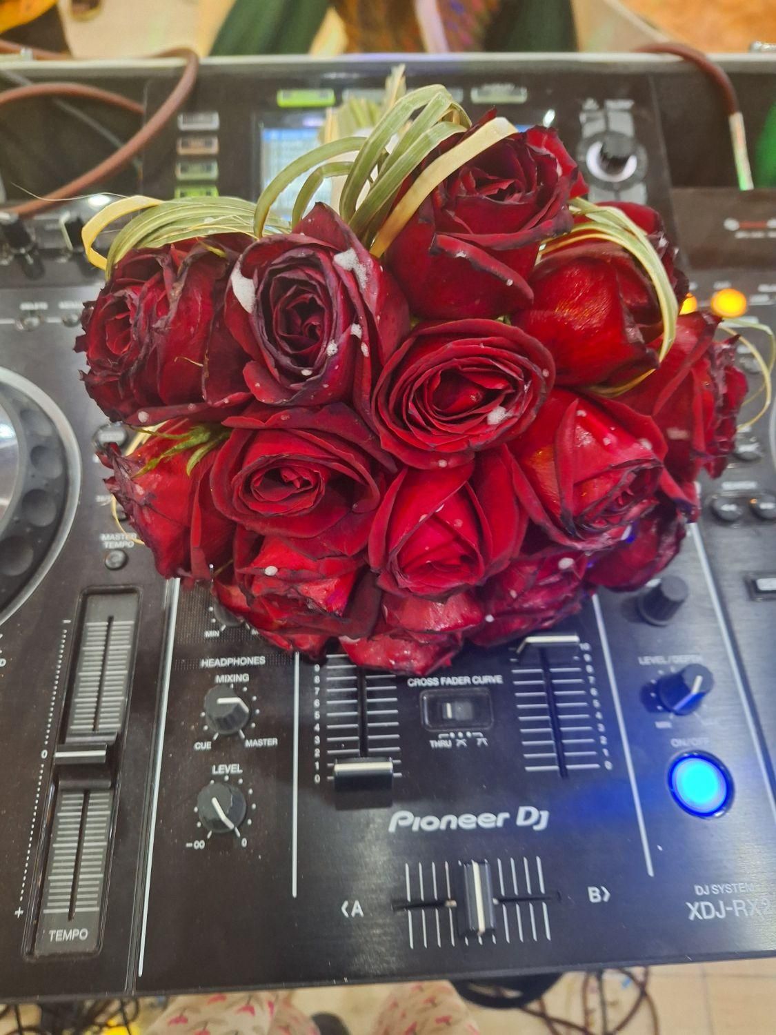 دیجی خانم.دف نوازی.تالار.|خدمات پذیرایی، مراسم|کرمان, |دیوار