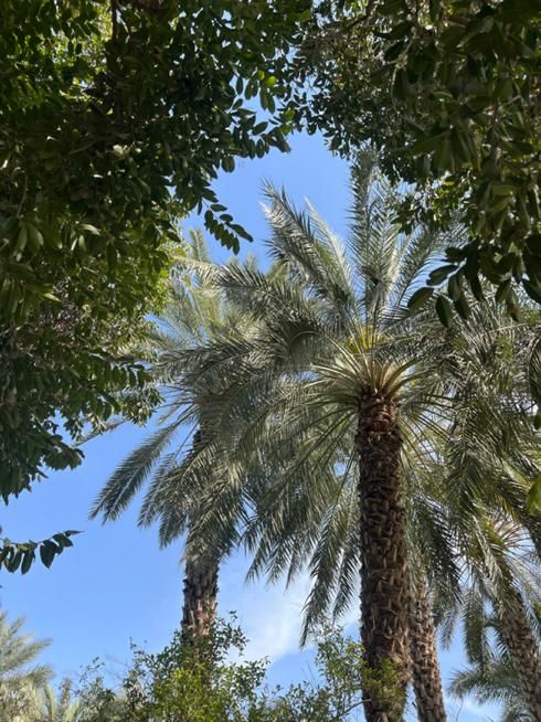 سرمایه گذاری ملک و اپارتمان|فعالیت داوطلبانه|تهران, آجودانیه|دیوار