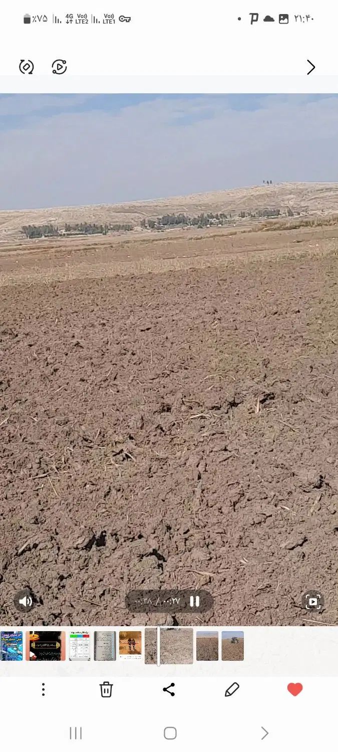 فروش ۴هتکار زمین کشاورزی آبی درجه یک دو بذره حومه|فروش دفتر صنعتی، کشاورزی، تجاری|سرپل ذهاب, |دیوار