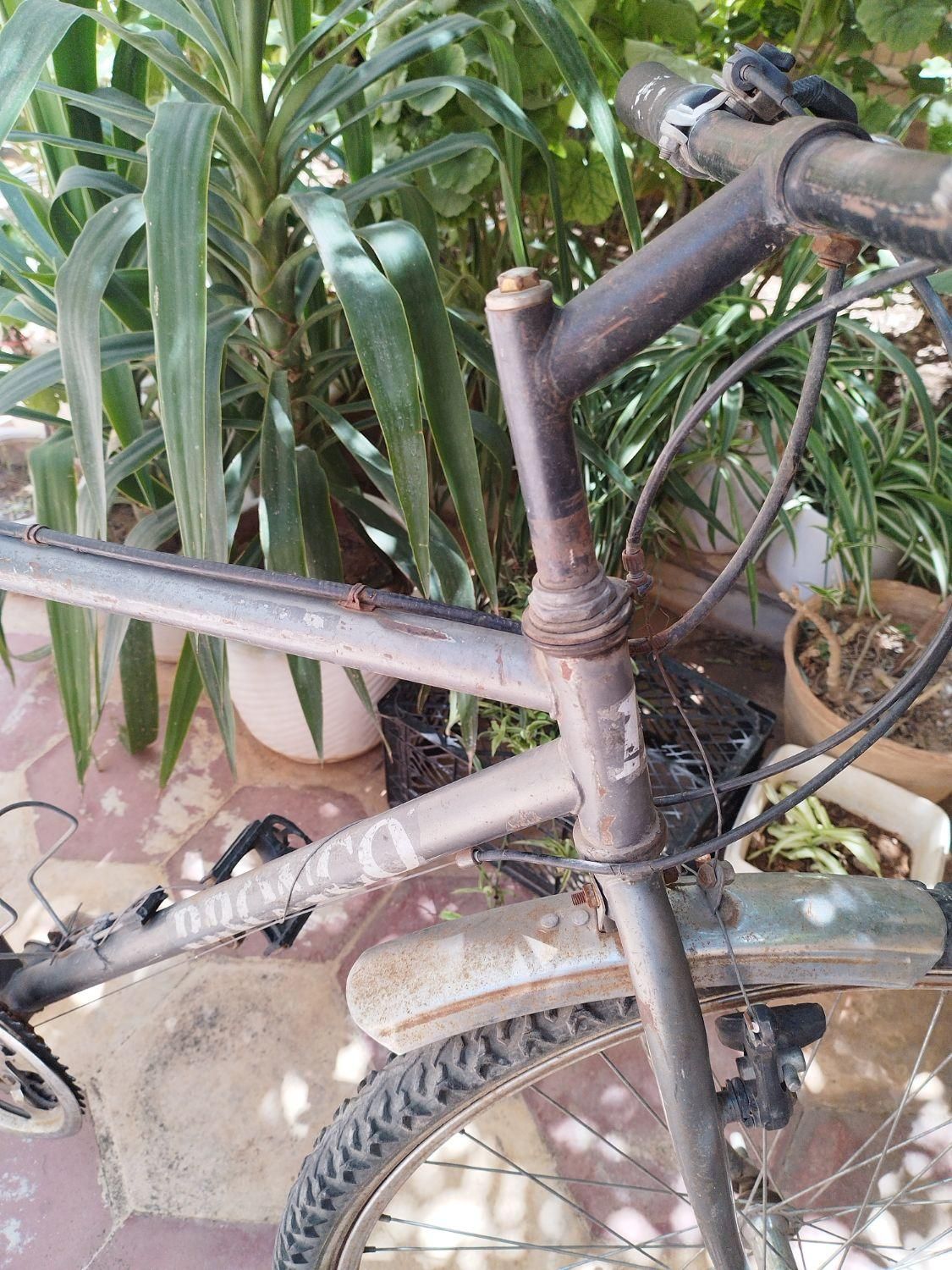 دوچرخه کوهستان ۲۶|دوچرخه، اسکیت، اسکوتر|شیراز, پارک آزادی|دیوار