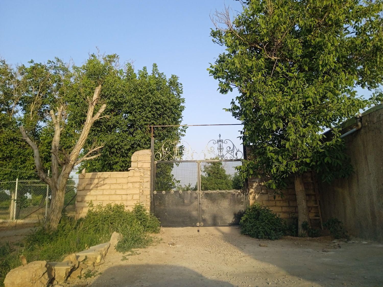 زمین و باغ با چاه عمیق مناسب گلخانه و مرغداری|فروش زمین و ملک کلنگی|ابهر, |دیوار