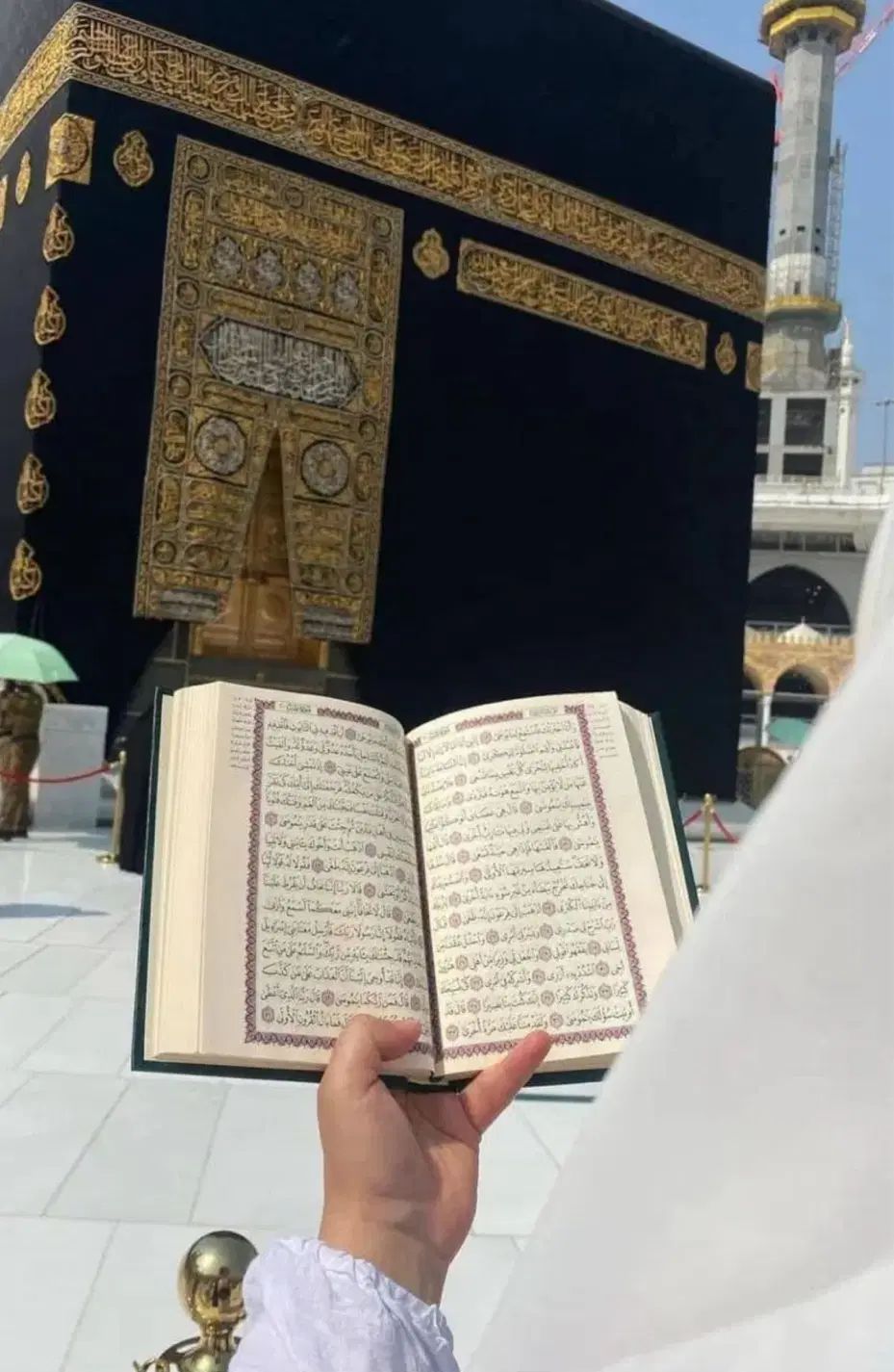 فروش دو فقره فیش حج تمتع ۱۳۸۶/۱۱/۱۱|تور و چارتر|تهران, هروی|دیوار