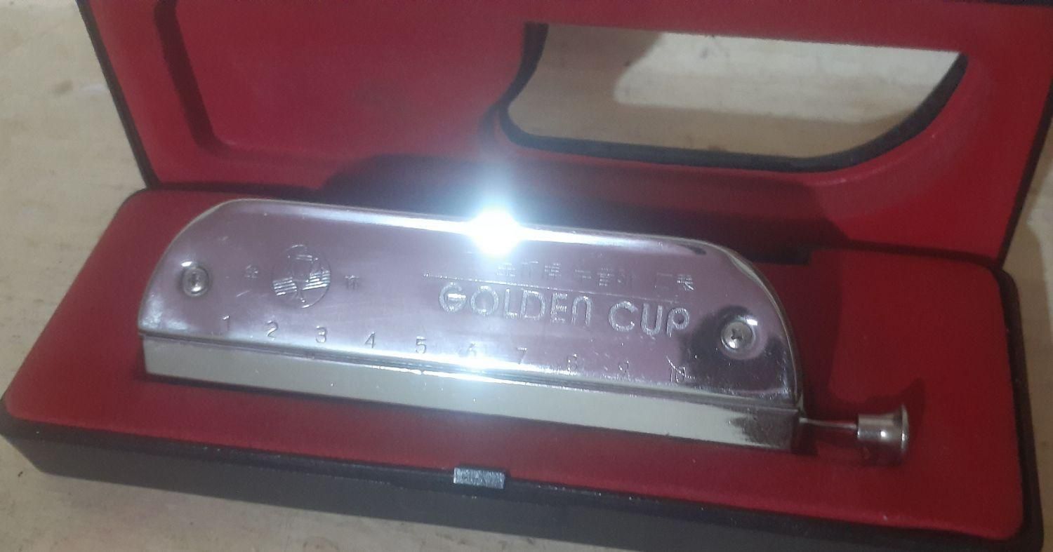 ساز دهنی گلدن کاپ فوق|سازهای بادی|پاکدشت, پاکدشت (مامازند)|دیوار