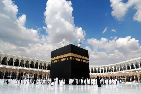 فیش عمره|تور و چارتر|تهران, ستارخان|دیوار