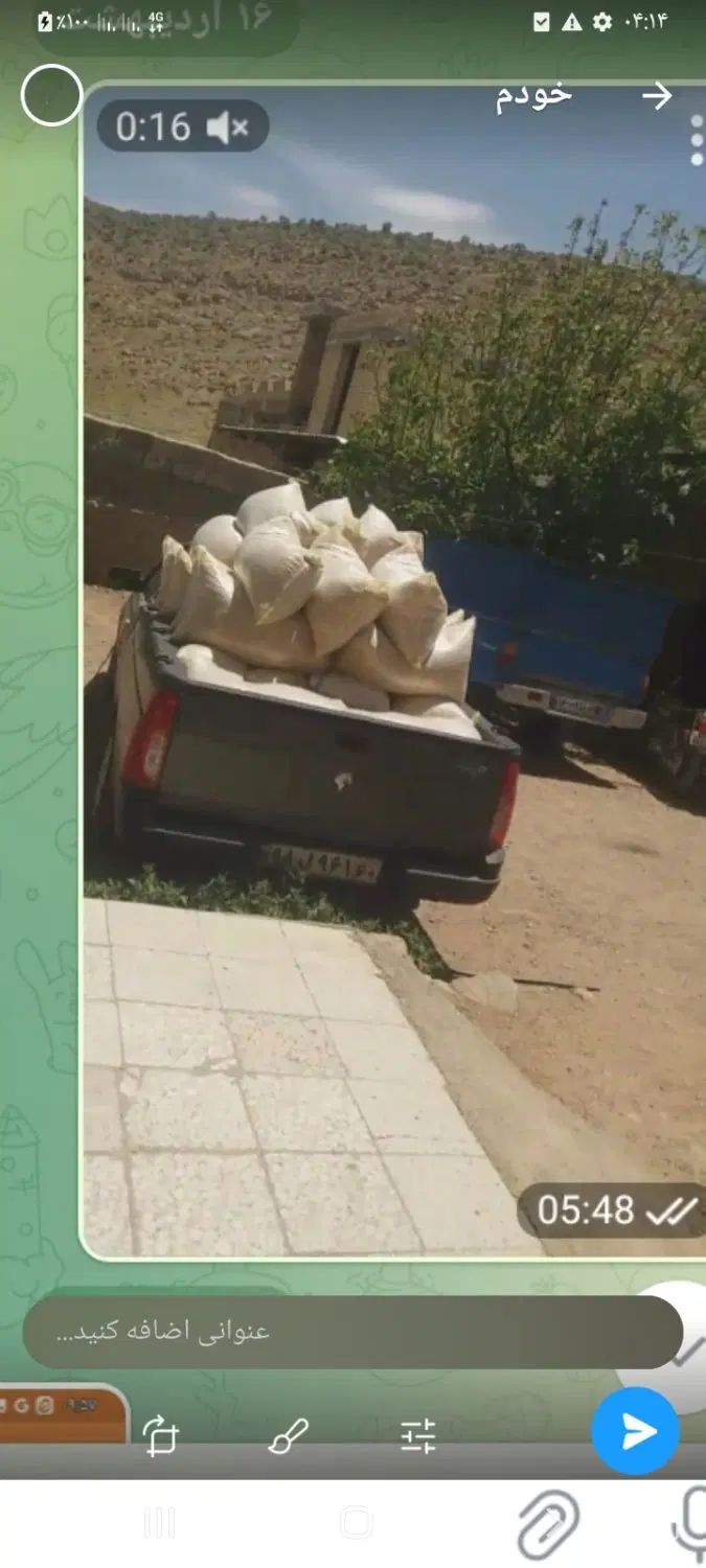 بی واسطه ازکشاورزبدون پوچ وتلخی پرمغز|خوردنی و آشامیدنی|مشهد, رضاشهر|دیوار