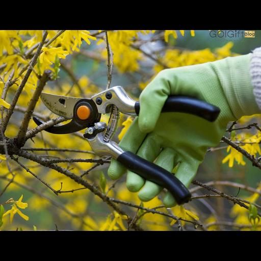 باغبانی|خدمات باغبانی و درختکاری|ورامین, ورامین|دیوار