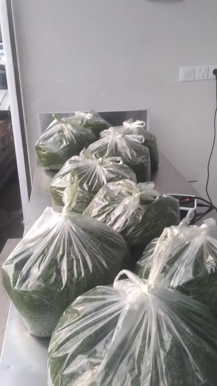 انواع سبزی خرد شده تر و تازه..فقط کفیت کار رو ببین|خوردنی و آشامیدنی|رشت, جماران|دیوار