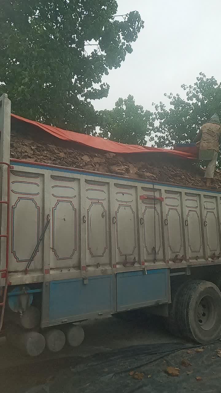 زل مرغ مرغی، کود مرغی، کود گاوی|خدمات باغبانی و درختکاری|شاهین‌شهر, گزبرخوار|دیوار