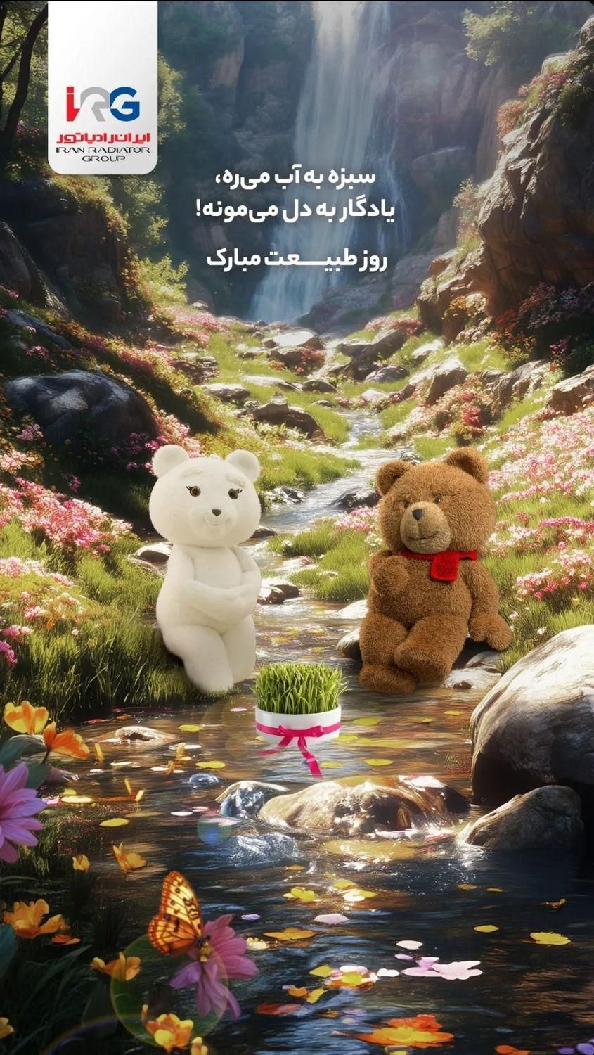 پکیج ایران رادیاتور مدل L24|آبگرمکن، پکیج، شوفاژ|دورود, |دیوار