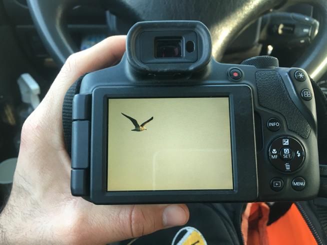 دوربین canon کنون سوپر زوم sx70hs|دوربین عکاسی و فیلم‌برداری|تهران, میرداماد|دیوار