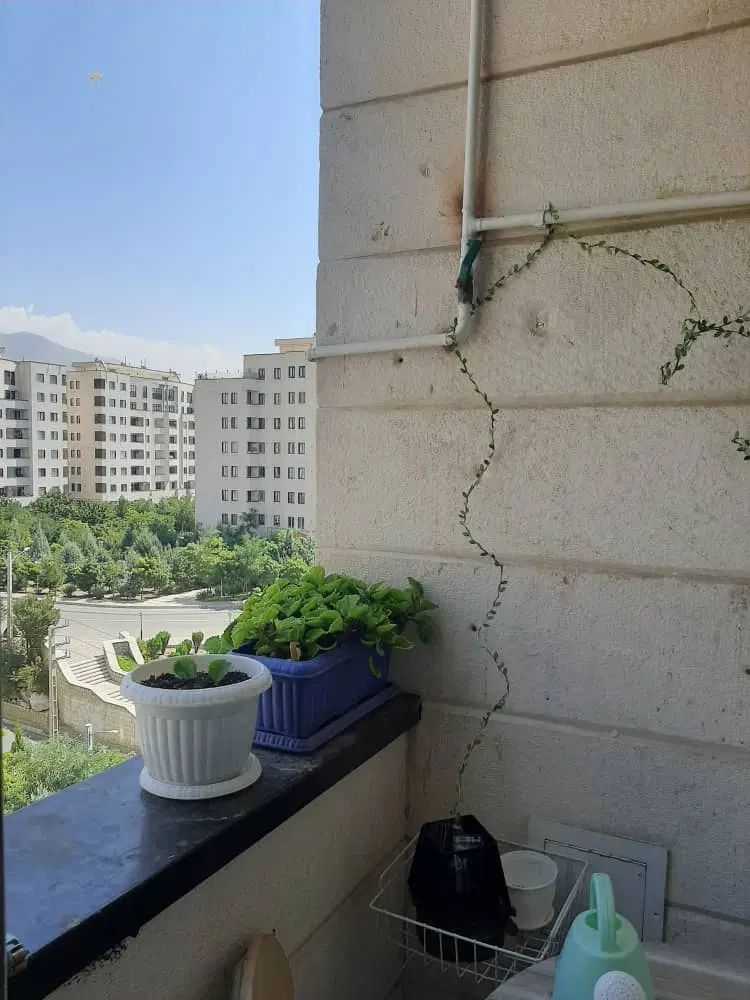 نگین غرب 101متر شمالی روبرو اسانسور|فروش آپارتمان|تهران, نگین غرب|دیوار