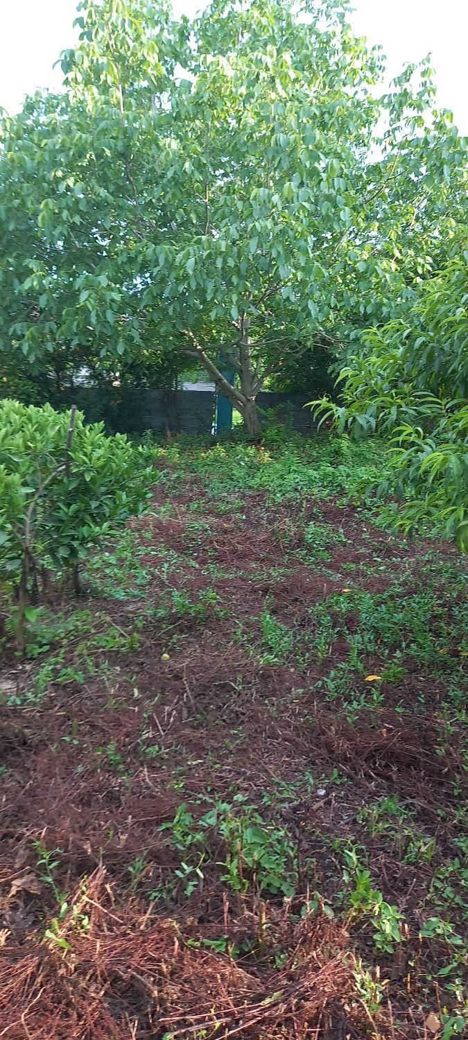 ۲۰۰ متر زمین مسکونی|فروش زمین و ملک کلنگی|بابکان, |دیوار