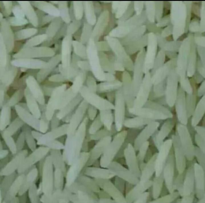 برنج فجرسوزنی خوشپخت|خوردنی و آشامیدنی|رشت, سلیمانداراب|دیوار