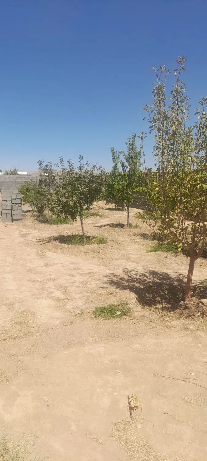 فروش باغ ۸۰۰متری بهترین موقعیت مکانی|فروش خانه و ویلا|مشهد, فردوسی|دیوار