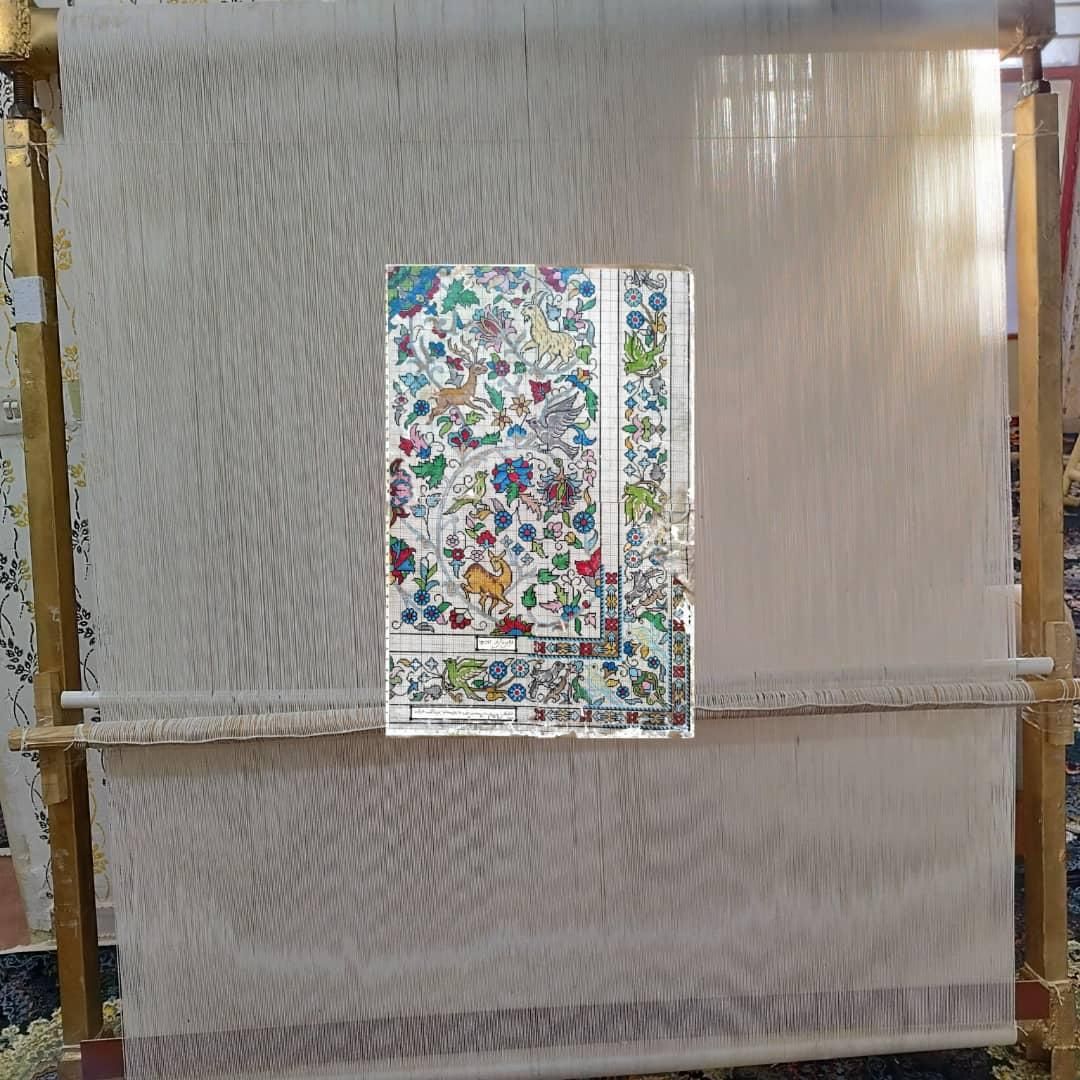 دارقالی چله شده .|فرش|کرمانشاه, |دیوار