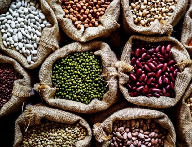 فروش و پخش حبوبات به صورت کلی و جزیی|خوردنی و آشامیدنی|تهران, افسریه|دیوار