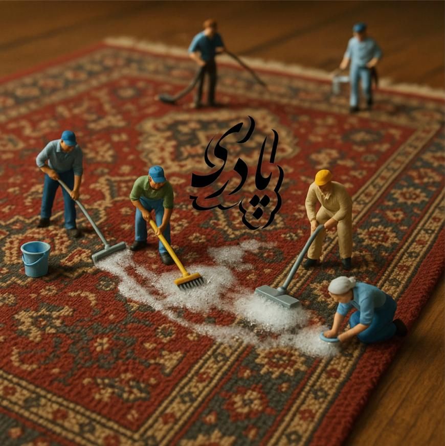 قالیشویی و مبل شویی پادری|خدمات نظافت|بوشهر, |دیوار