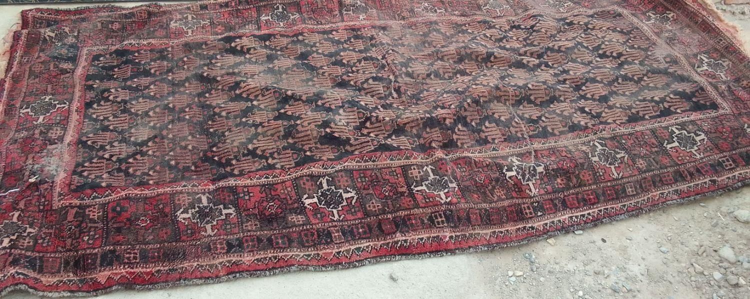 فروش فرش دست بافت|فرش|زابل, |دیوار