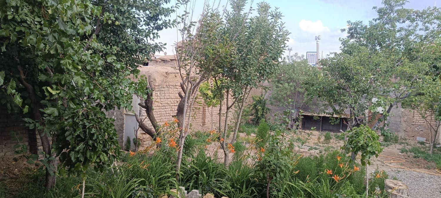 خانه ویلایی با درختان میوه روستای صنوبر|فروش خانه و ویلا|تربت‌حیدریه, بالا ولایت|دیوار