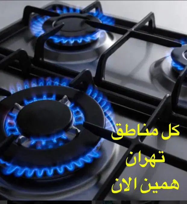 تعمیرکار تعمیرات ساید یخچال پکیج اجاق گاز لباسشویی|خدمات پیشه و مهارت|تهران, استاد معین|دیوار