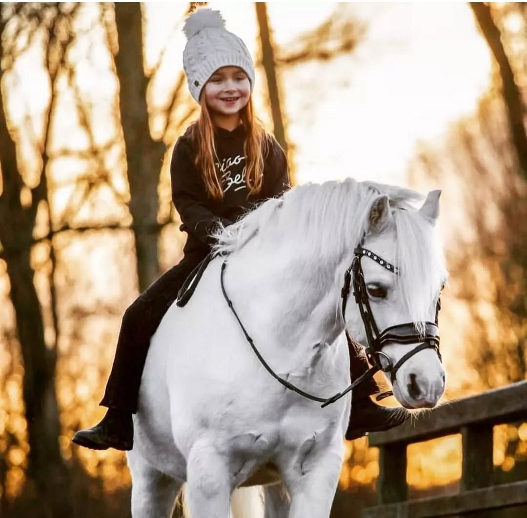 سوارکاری آزاد ، گشت صحرایی ، عکاسی با اسب|اسب و تجهیزات اسب‌سواری|تهران, چیتگر جنوبی|دیوار