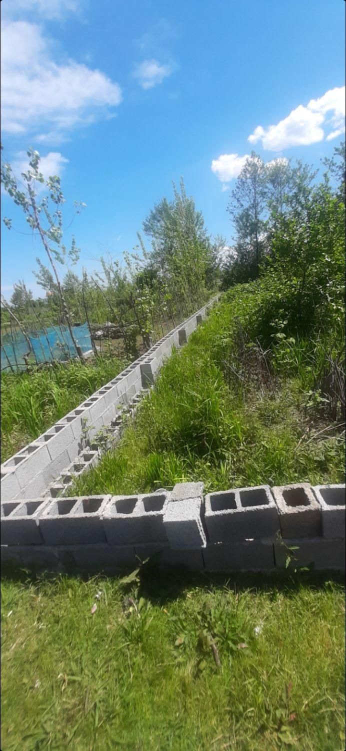 ۲۳۵ متر زمین جاده لاکان|فروش زمین و ملک کلنگی|رشت, لاکان شهر|دیوار