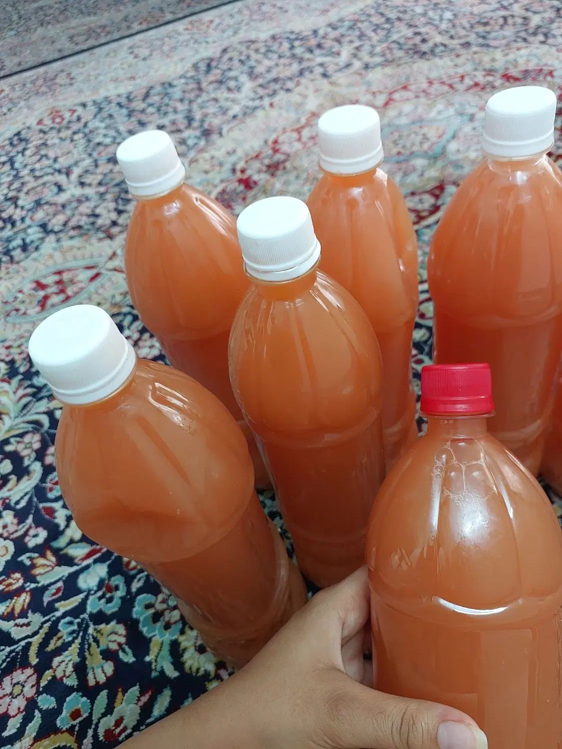آبغوره خونگی اصل|خوردنی و آشامیدنی|تهران, تهرانسر غربی|دیوار