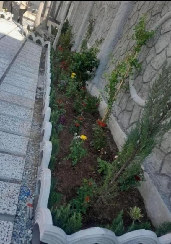 باغبان سیار به تمام نقاط تهران فقط یک تماس|خدمات باغبانی و درختکاری|تهران, سعادت‌آباد|دیوار