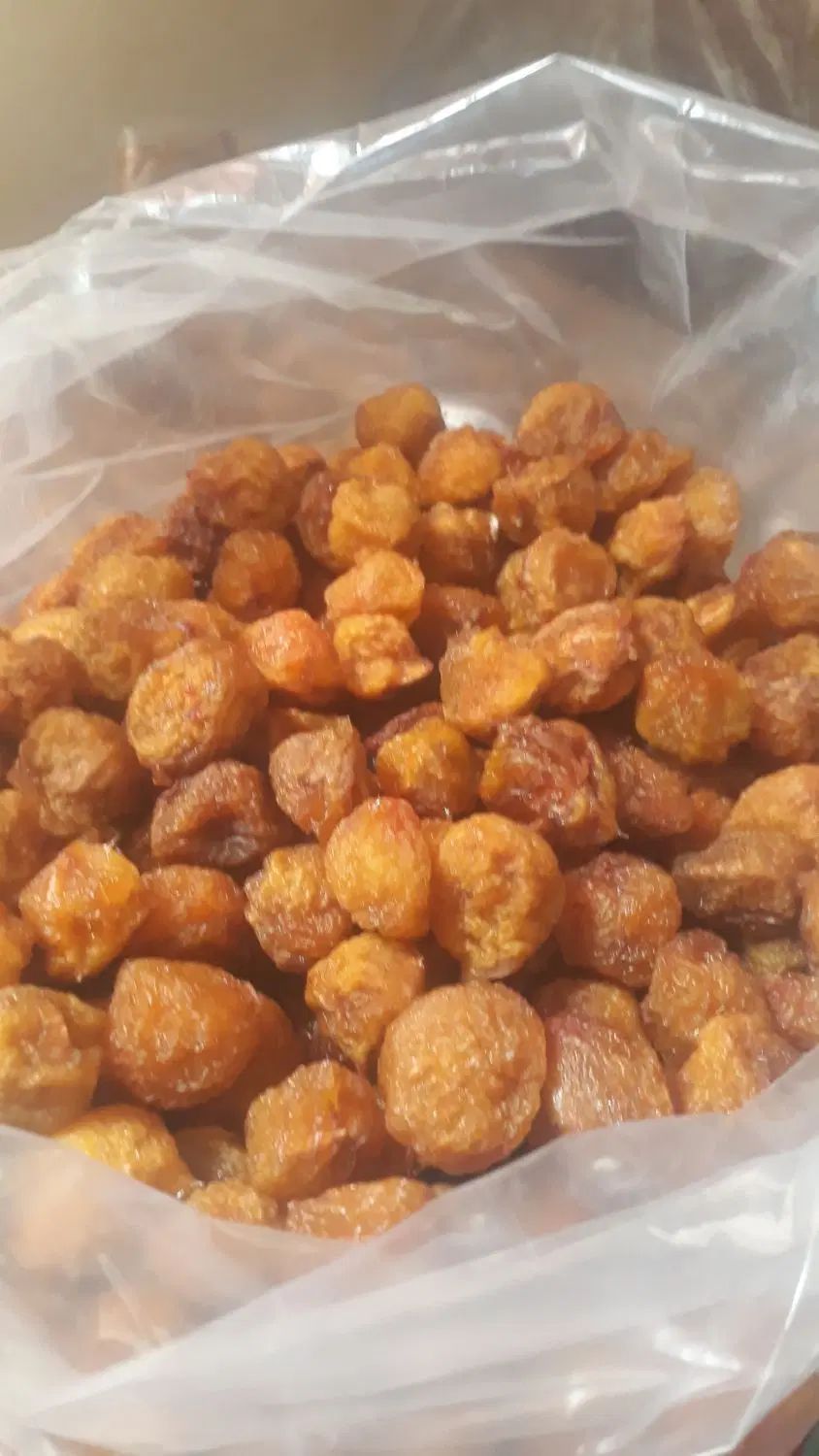 الو بخارا|خوردنی و آشامیدنی|مشهد, کوثر|دیوار