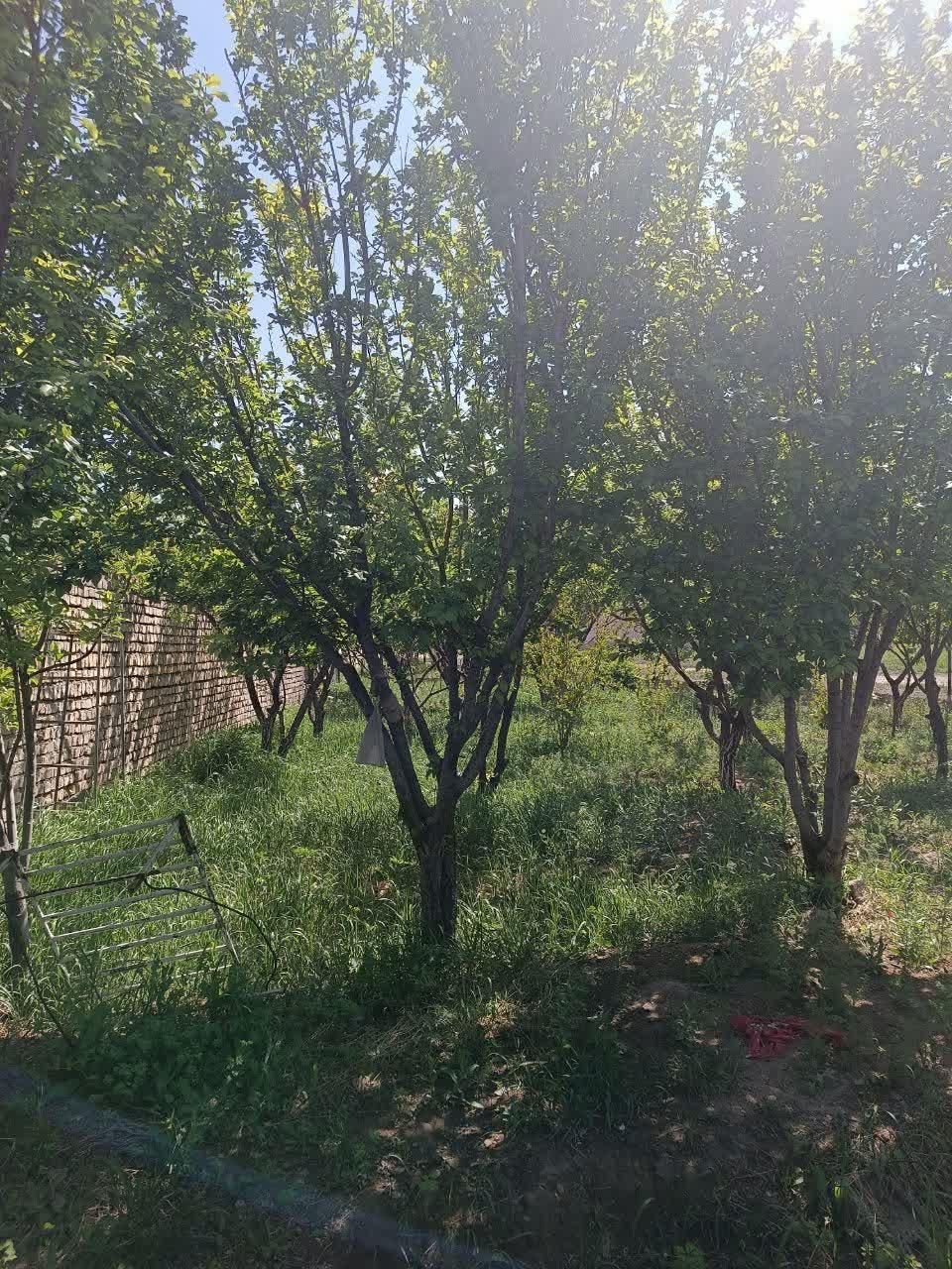 باغچه روستای خوش وآب هوازوایان|فروش خانه و ویلا|قم, امامزاده ابراهیم|دیوار