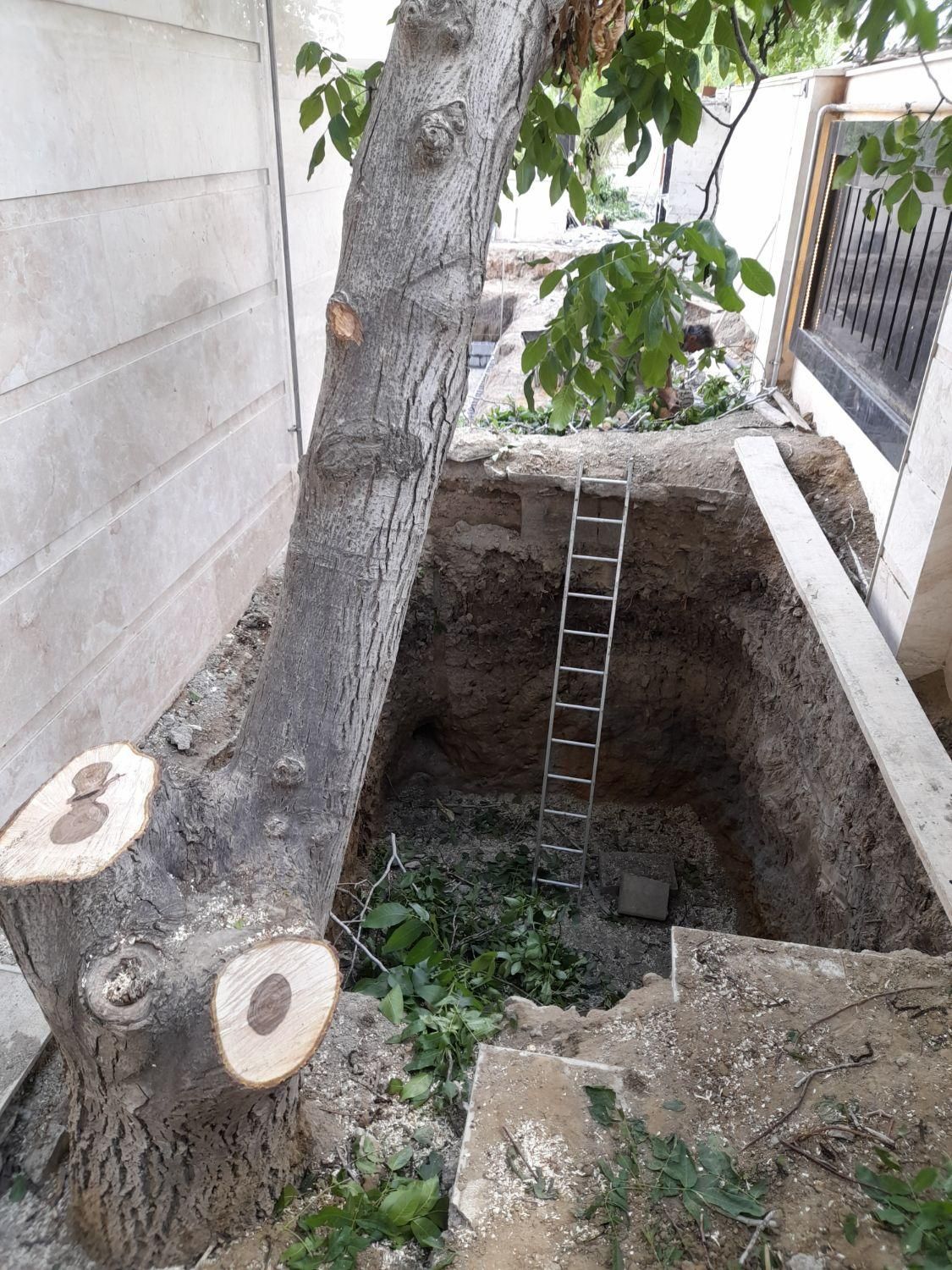 برش چوب درخت وخرید چوب درمحل|خدمات پیشه و مهارت|ارومیه, |دیوار