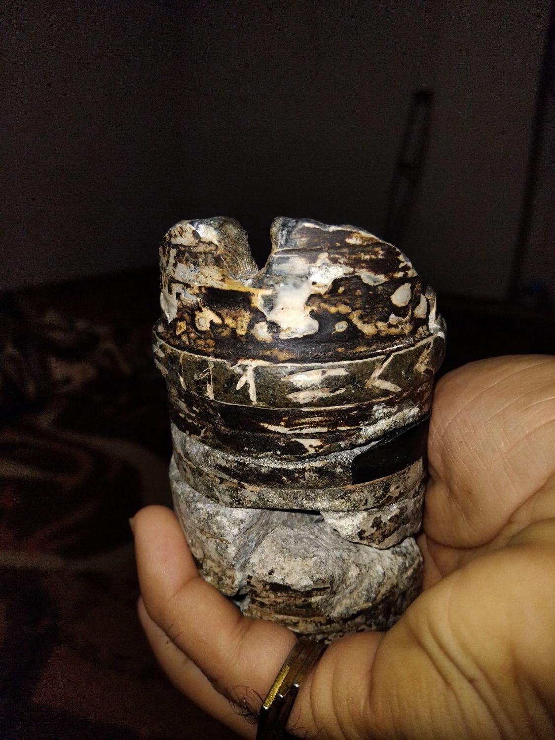 تندیس سنگی قدیمی|مجسمه، تندیس، ماکت|جهرم, |دیوار