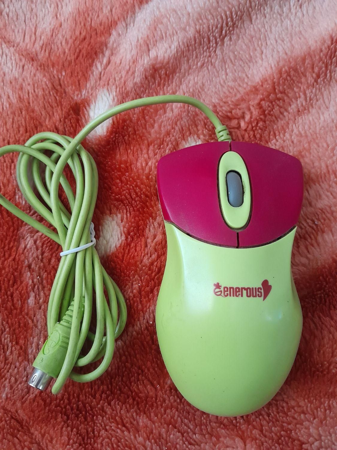 موس نو|قطعات و لوازم جانبی رایانه|رودهن, |دیوار